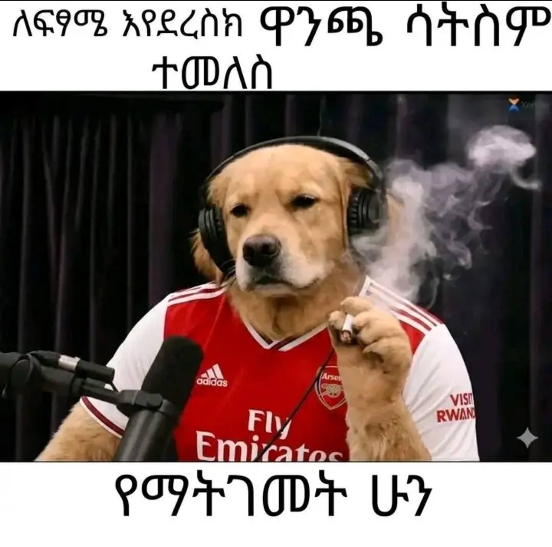 ለፍፃሜ አየዴረስክ ካ ንጫ ሳጉስም ር ሁን AG99R cil 0 Pye Arng Ei allot Ww